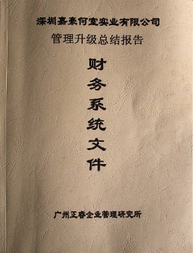 深圳市嘉豪何室實業(yè)有限公司管理升級總結(jié)報告