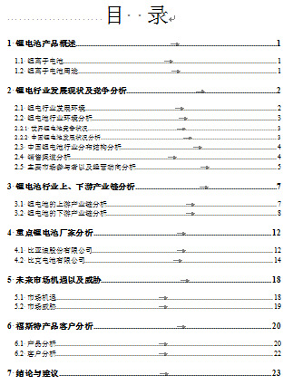 《福斯特集團(tuán)調(diào)查報(bào)告書》