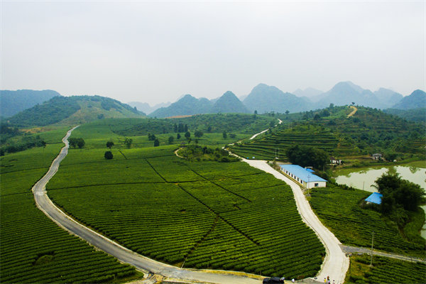 清遠(yuǎn)管理咨詢機(jī)構(gòu)的定制化服務(wù)方面包含哪些內(nèi)容？